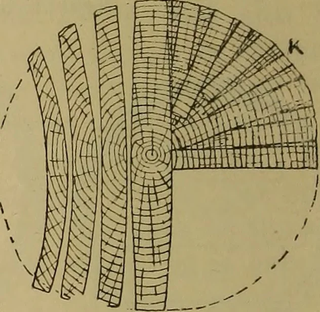 An illustration from Cassells' carpentry and joinery, 1907, leaf 51