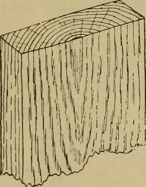An illustration from Cassells' carpentry and joinery, 1907, leaf 51