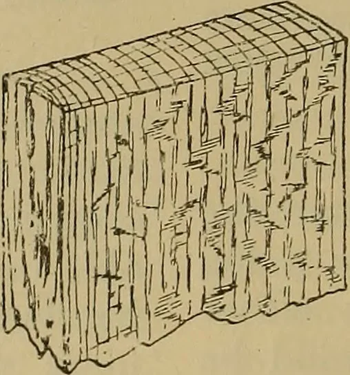An illustration from Cassells' carpentry and joinery, 1907, leaf 51