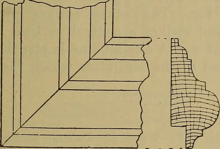 An illustration from Cassells' carpentry and joinery, 1907, leaf 52