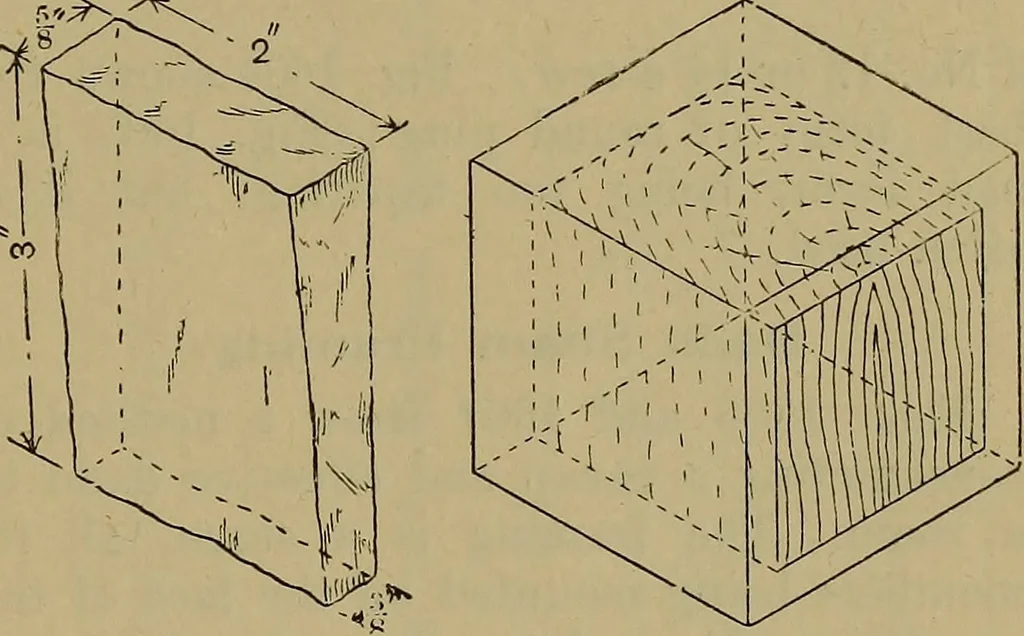 An illustration from Cassells' carpentry and joinery, 1907, leaf 520