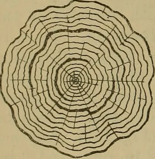 An illustration from Cassells' carpentry and joinery, 1907, leaf 55