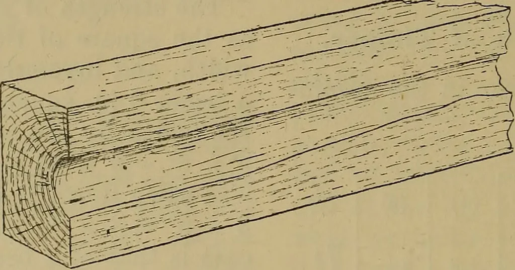 An illustration from Cassells' carpentry and joinery, 1907, leaf 55