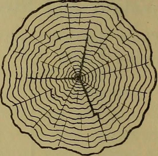 An illustration from Cassells' carpentry and joinery, 1907, leaf 55