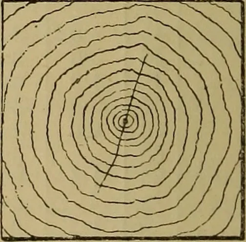 An illustration from Cassells' carpentry and joinery, 1907, leaf 55
