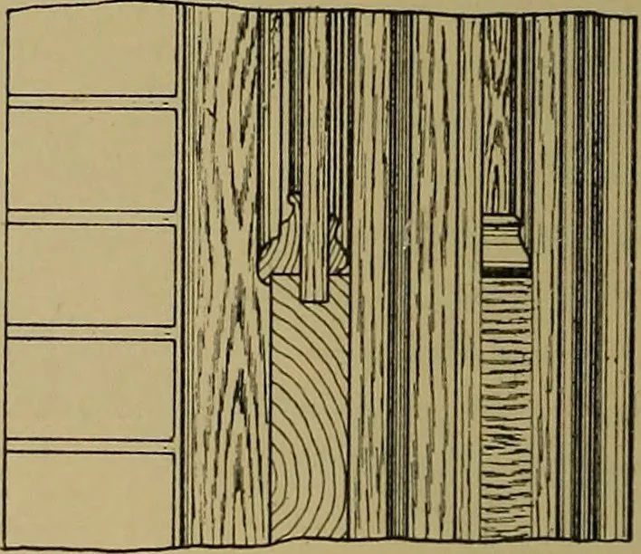 An illustration from Cassells' carpentry and joinery, 1907, leaf 553
