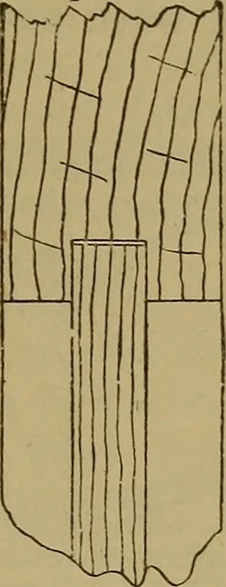 An illustration from Cassells' carpentry and joinery, 1907, leaf 558