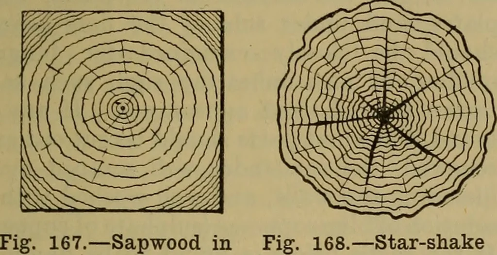 An illustration from Cassells' carpentry and joinery, 1907, leaf 56