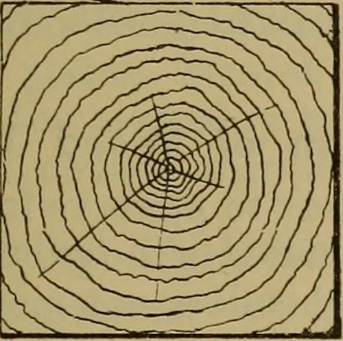 An illustration from Cassells' carpentry and joinery, 1907, leaf 56