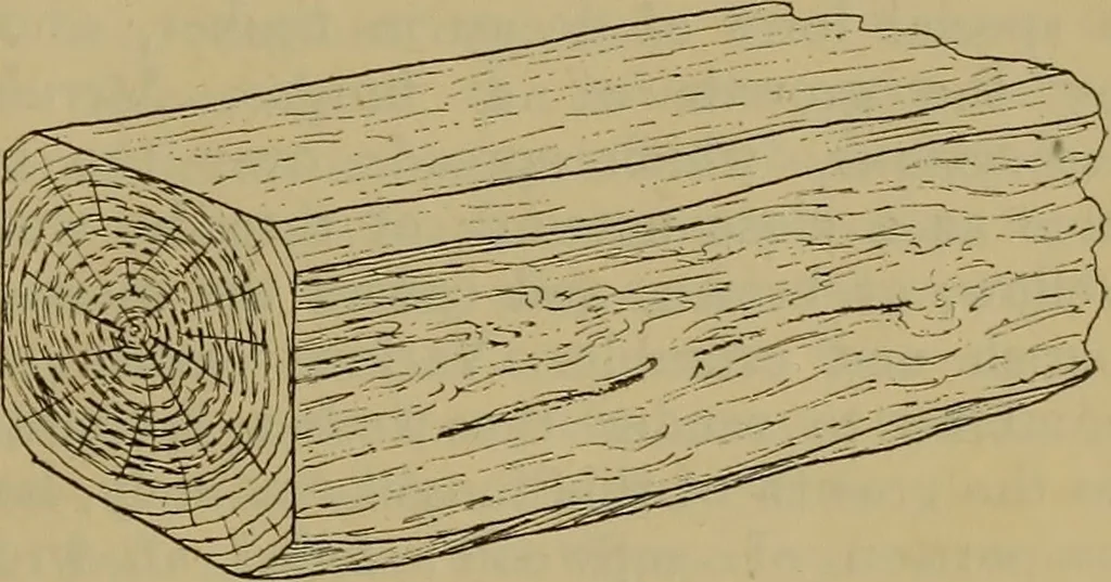 An illustration from Cassells' carpentry and joinery, 1907, leaf 56