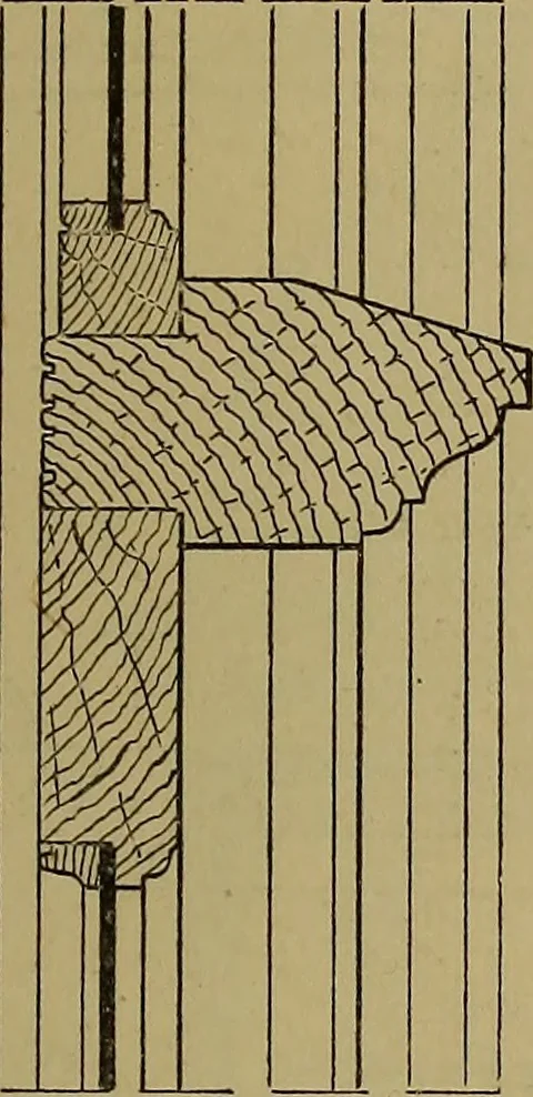 An illustration from Cassells' carpentry and joinery, 1907, leaf 562