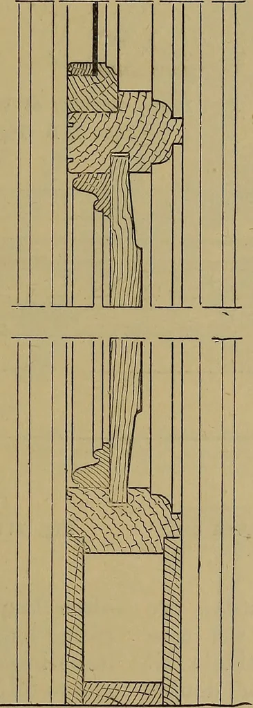 An illustration from Cassells' carpentry and joinery, 1907, leaf 562