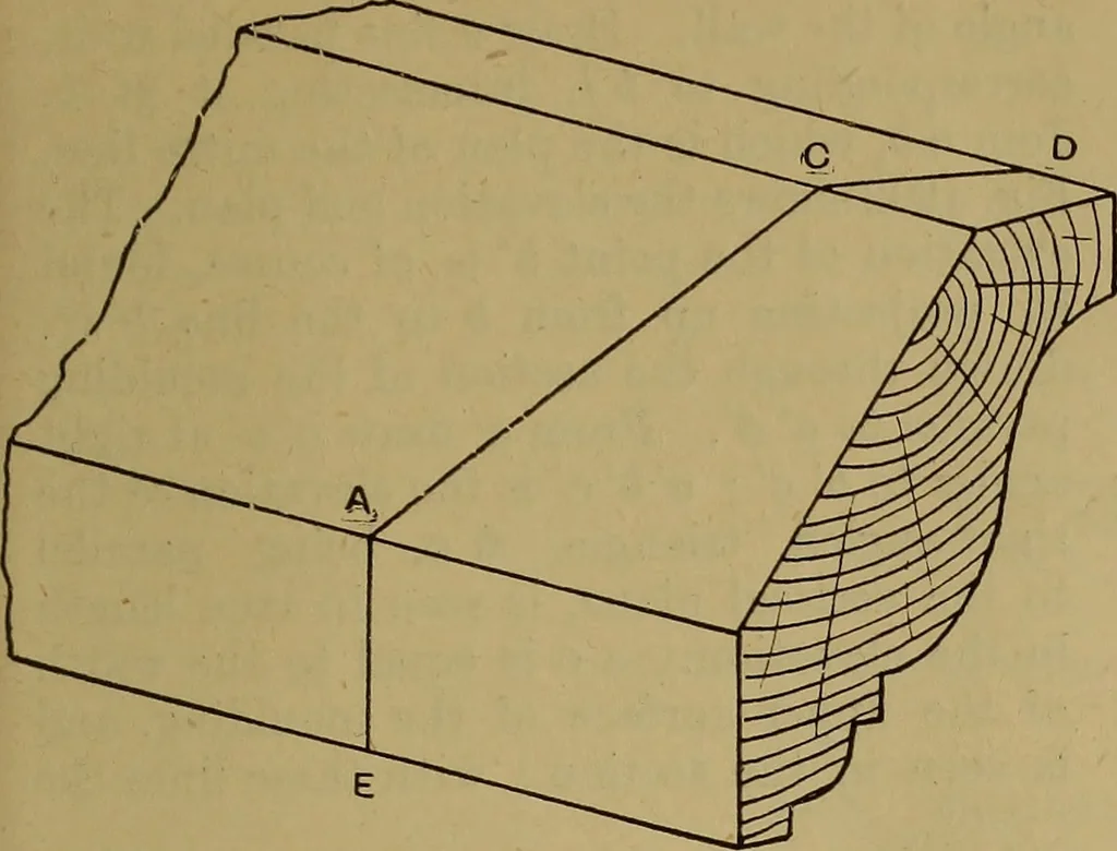 An illustration from Cassells' carpentry and joinery, 1907, leaf 592