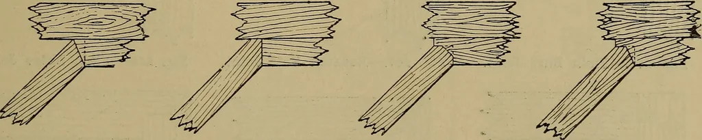An illustration from Cassells' carpentry and joinery, 1907, leaf 78