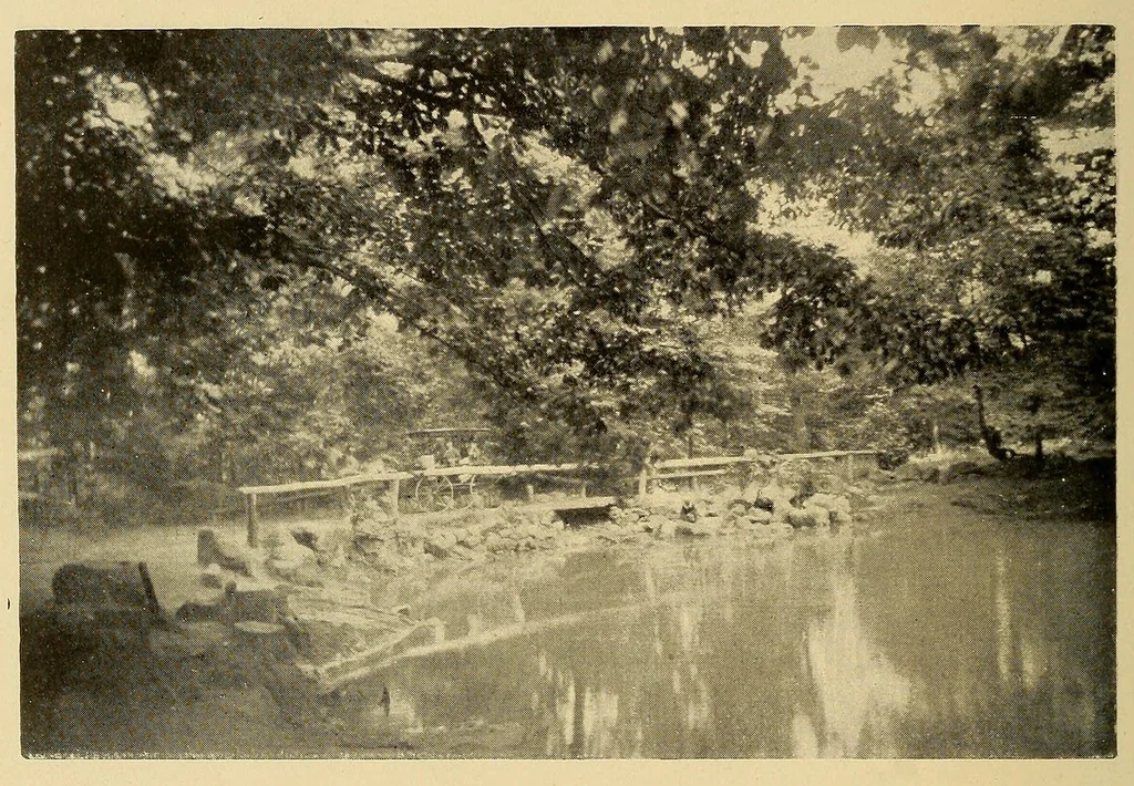 An illustration from Cassier's magazine, 1891, leaf 156