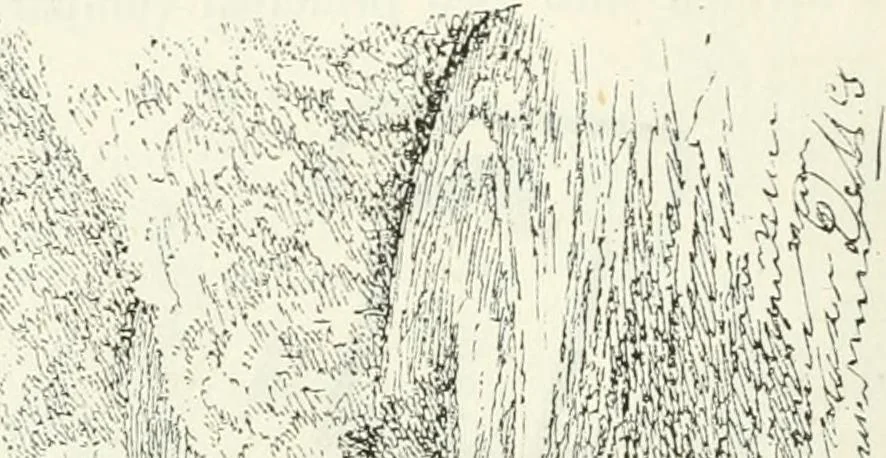 An illustration from The castellated and domestic architecture of Scotland, from the twelfth to the eighteenth century, 1887, leaf 205