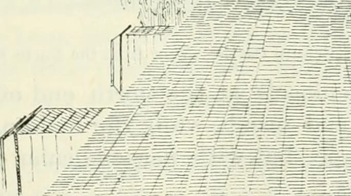 An illustration from The castellated and domestic architecture of Scotland, from the twelfth to the eighteenth century, 1887, leaf 400