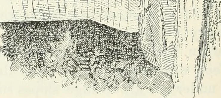An illustration from The castellated and domestic architecture of Scotland, from the twelfth to the eighteenth century, 1887, leaf 455