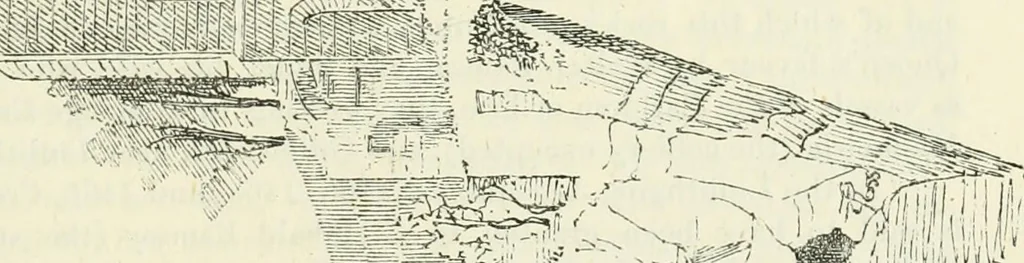 An illustration from The castellated and domestic architecture of Scotland, from the twelfth to the eighteenth century, 1887, leaf 562