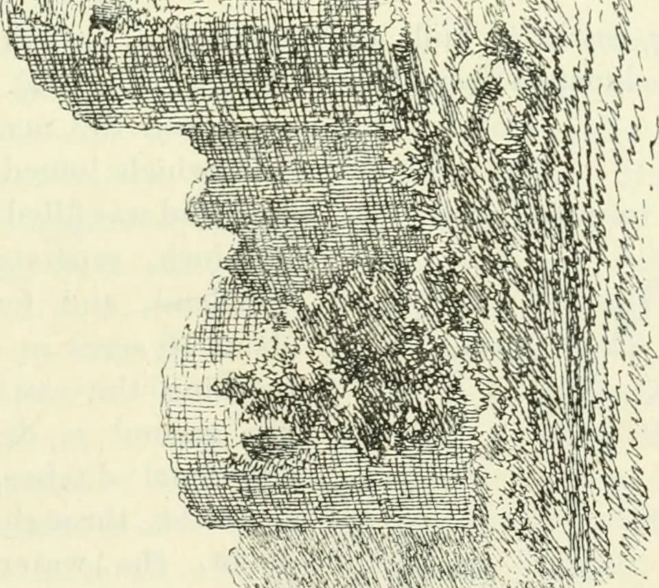 An illustration from The castellated and domestic architecture of Scotland, from the twelfth to the eighteenth century, 1887, leaf 96