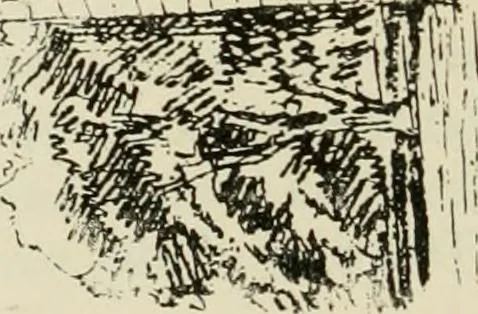 An illustration from The castellated and domestic architecture of Scotland, from the twelfth to the eighteenth century, 1887, leaf 195