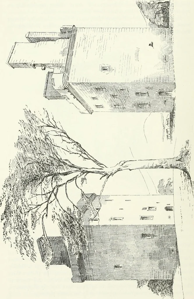 An illustration from The castellated and domestic architecture of Scotland, from the twelfth to the eighteenth century, 1887, leaf 203