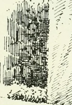 An illustration from The castellated and domestic architecture of Scotland, from the twelfth to the eighteenth century, 1887, leaf 466