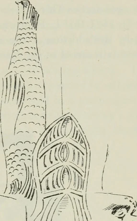 An illustration from The castellated and domestic architecture of Scotland, from the twelfth to the eighteenth century, 1887, leaf 30
