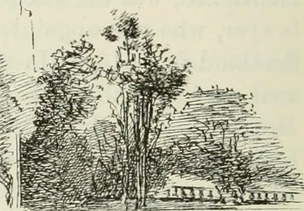 An illustration from The castellated and domestic architecture of Scotland, from the twelfth to the eighteenth century, 1887, leaf 397