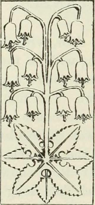 An illustration from The castellated and domestic architecture of Scotland, from the twelfth to the eighteenth century, 1887, leaf 417