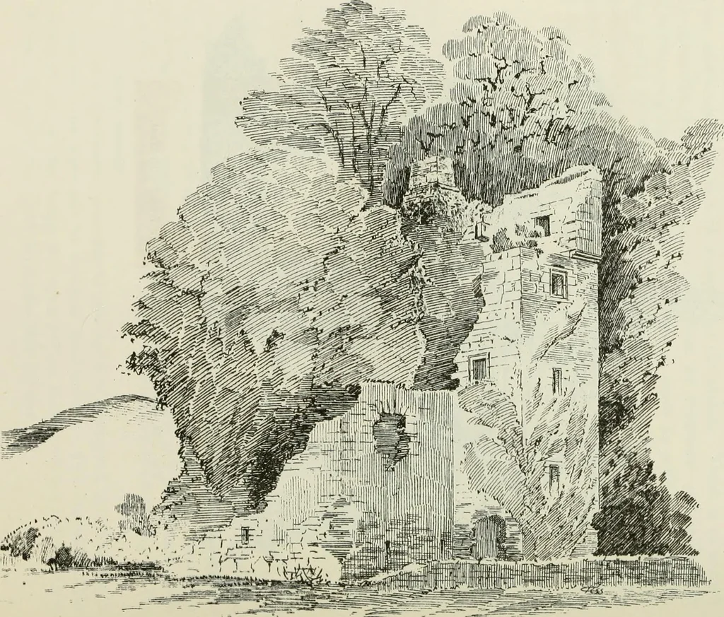 An illustration from The castellated and domestic architecture of Scotland, from the twelfth to the eighteenth century, 1887, leaf 229