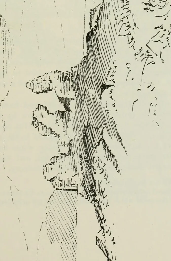An illustration from The castellated and domestic architecture of Scotland, from the twelfth to the eighteenth century, 1887, leaf 314