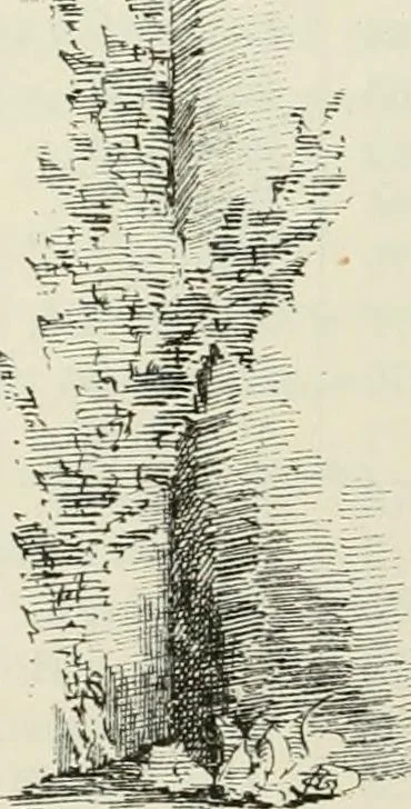 An illustration from The castellated and domestic architecture of Scotland, from the twelfth to the eighteenth century, 1887, leaf 529