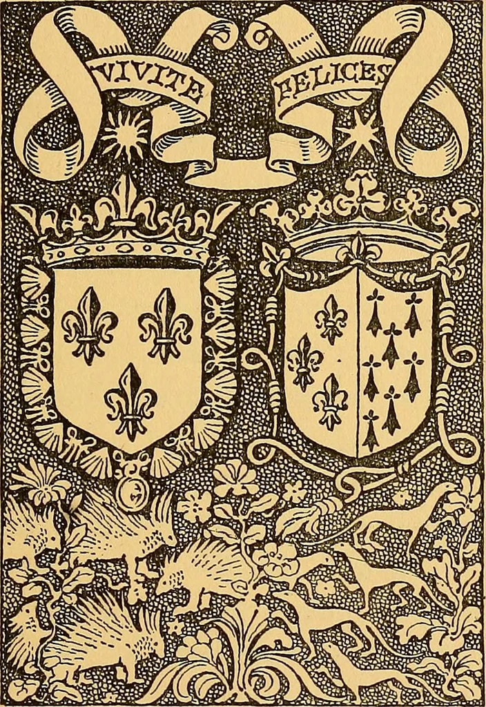 An illustration from Castles and chateaux of old Touraine and the Loire country, 1906, leaf 318