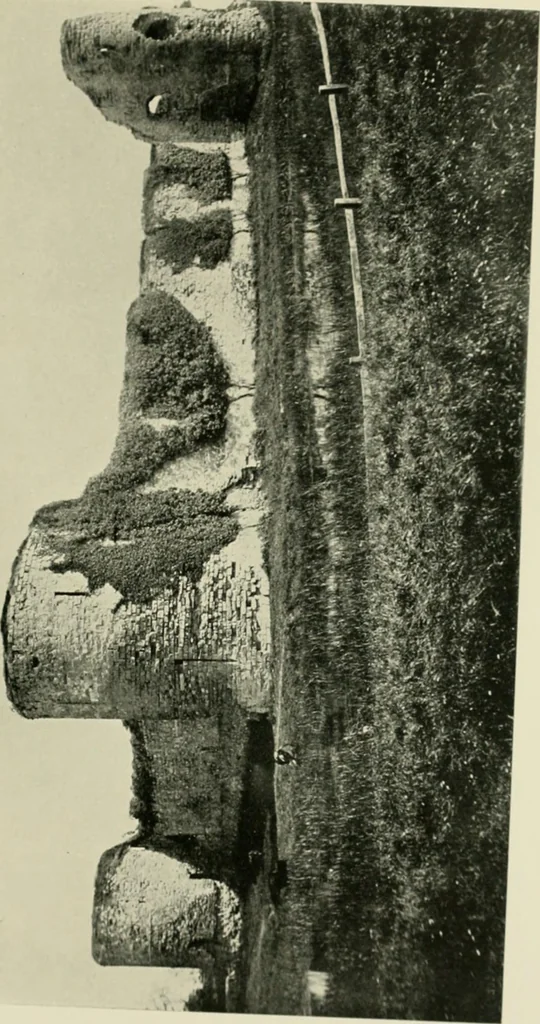 An illustration from The castles of England, their story and structure, 1896, leaf 124