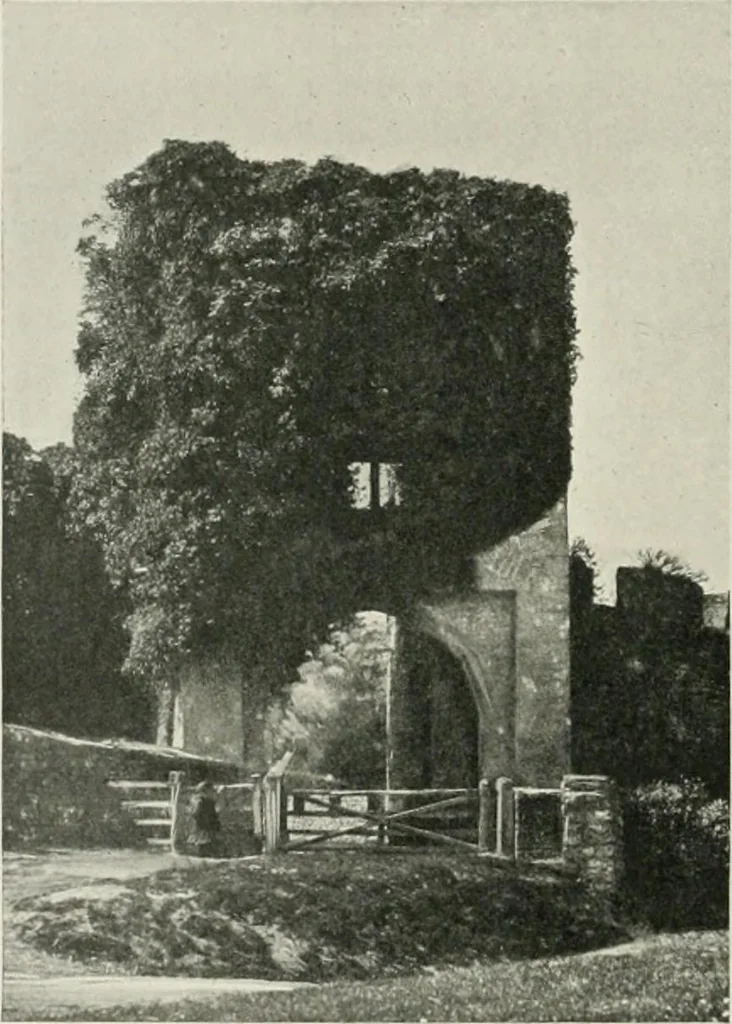 An illustration from The castles of England, their story and structure, 1896, leaf 83