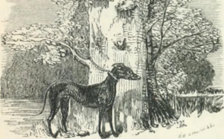 An illustration from The castles, palaces, and prisons of Mary of Scotland, 1850, leaf 314