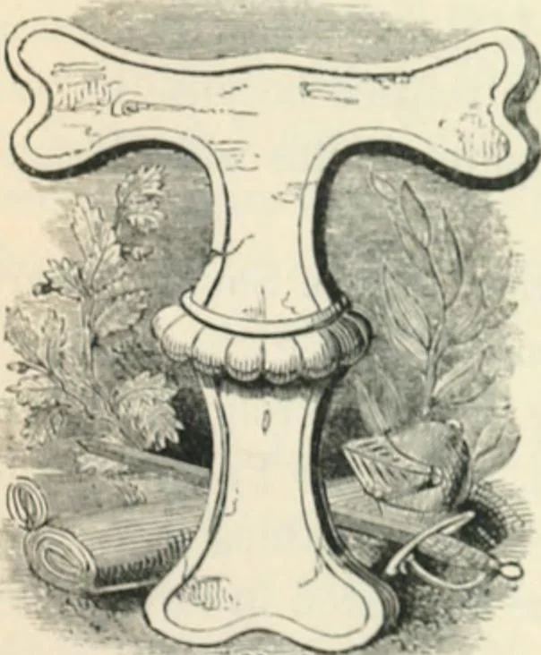 An illustration from The castles, palaces, and prisons of Mary of Scotland, 1850, leaf 488