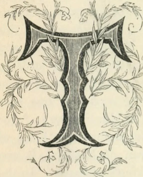 An illustration from The castles, palaces, and prisons of Mary of Scotland, 1850, leaf 510