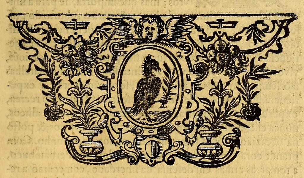 An illustration from Castrioto Lusitano : parte I. Entrepresa, e restauraçaõ de Pernambuco; & das capitanías confinantes. Varios, e bellicos sucçessos entre portuguezes, e belgas. Acontecidos pello discurso de vinte e quatro annos, e tirados de noticias, relaços, & memorias certas., 1679, leaf 449