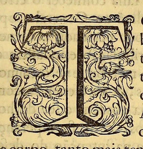 An illustration from Castrioto Lusitano : parte I. Entrepresa, e restauraçaõ de Pernambuco; & das capitanías confinantes. Varios, e bellicos sucçessos entre portuguezes, e belgas. Acontecidos pello discurso de vinte e quatro annos, e tirados de noticias, relaços, & memorias certas., 1679, leaf 69