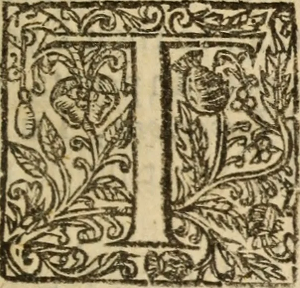 An illustration from The casuist uncas'd : in a dialogue betwixt Richard and Baxter : with a moderator between them, for quietnesse sake, 1680, leaf 96