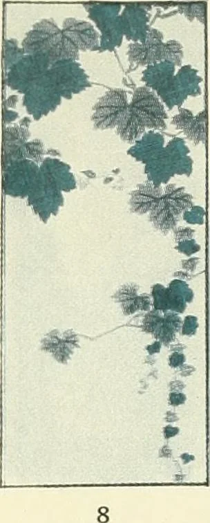An illustration from [Catalog], 1914, leaf 11