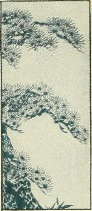 An illustration from [Catalog], 1914, leaf 11