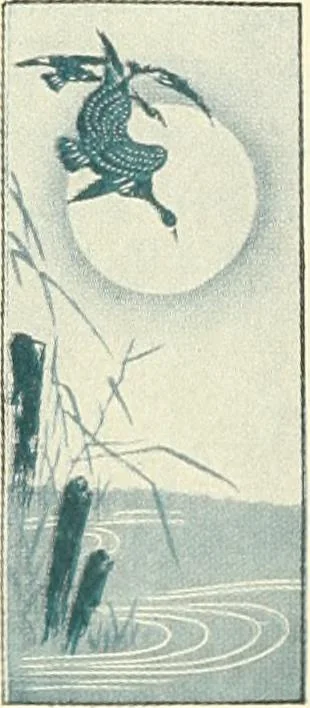 An illustration from [Catalog], 1914, leaf 11