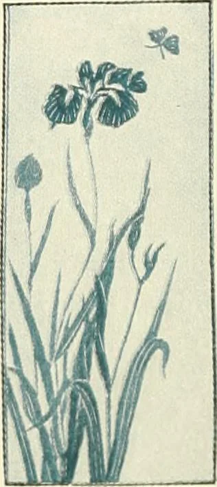 An illustration from [Catalog], 1914, leaf 11