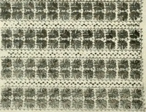 An illustration from [Catalog], 1914, leaf 17