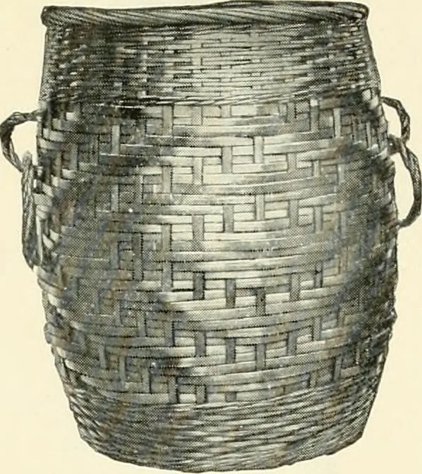 An illustration from [Catalog], 1914, leaf 23