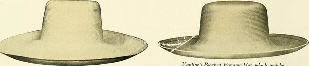 An illustration from [Catalog], 1914, leaf 29