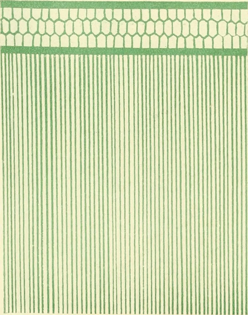An illustration from [Catalog], 1914, leaf 45